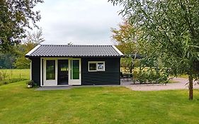 B&B Stripsein